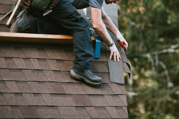 Roof Gutter Cleaning in Apple Valley, CA